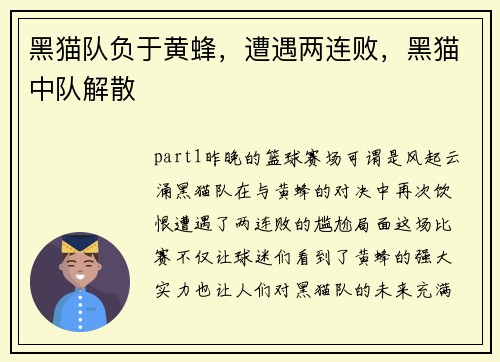 黑猫队负于黄蜂,遭遇两连败,黑猫中队解散